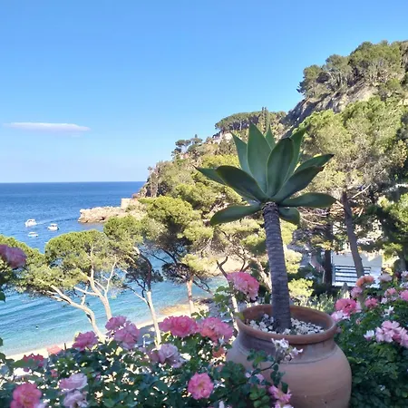 Apartment Casa Basilico' *